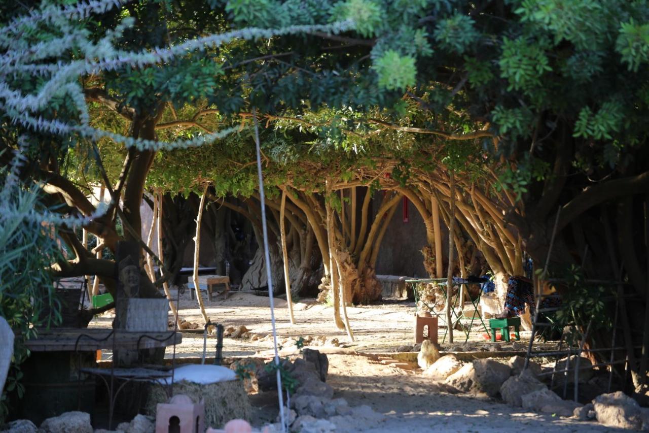 Dar Tawarta Guest House Dakhla Kültér fotó