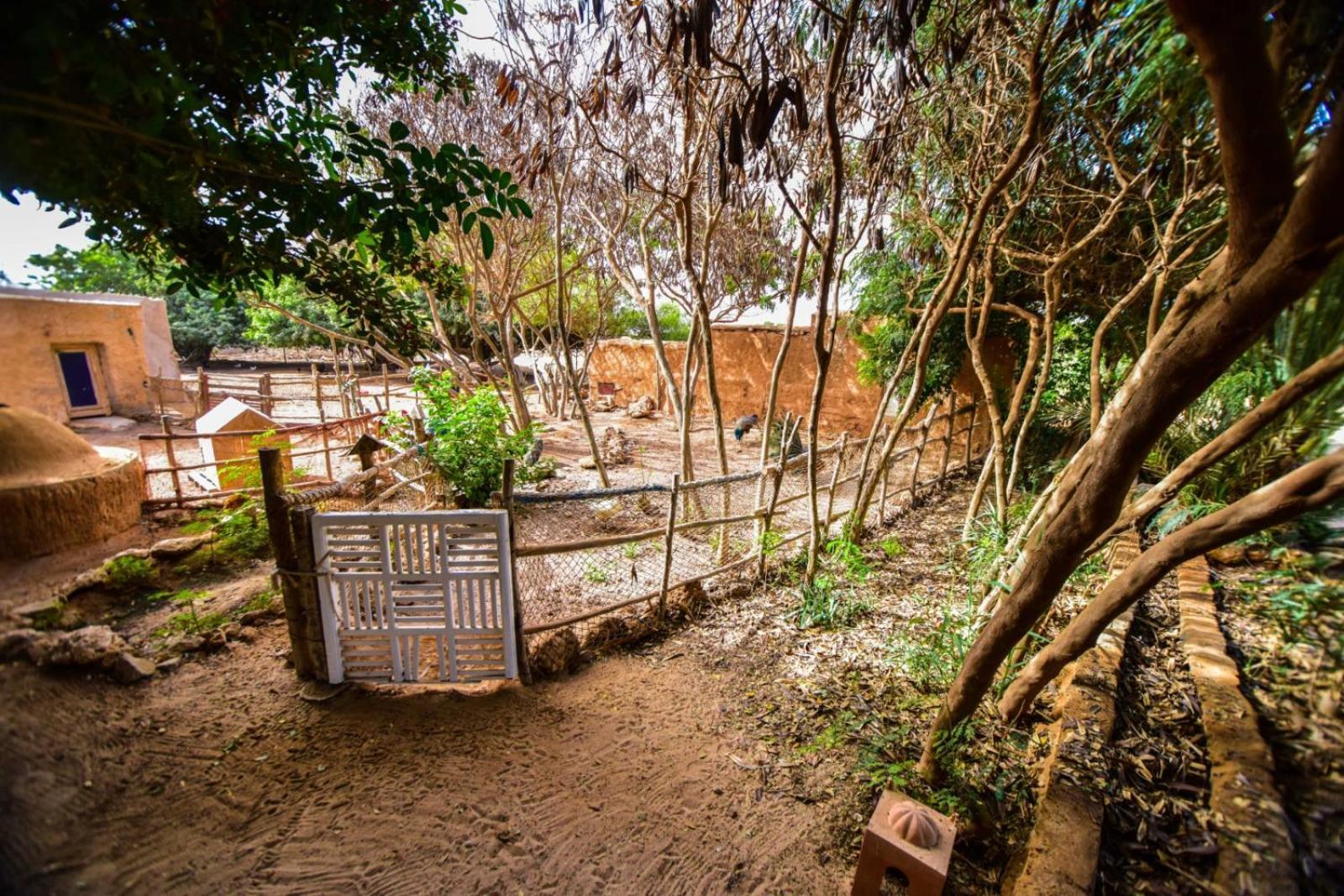 Dar Tawarta Guest House Dakhla Kültér fotó