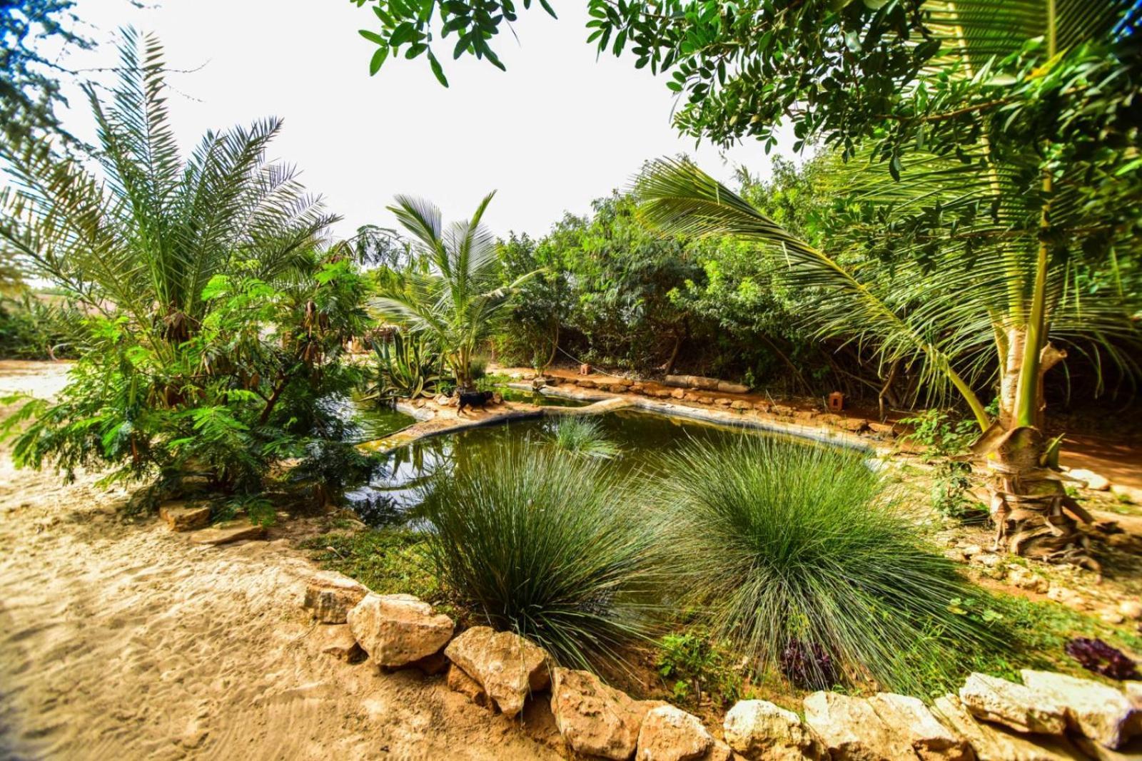 Dar Tawarta Guest House Dakhla Kültér fotó