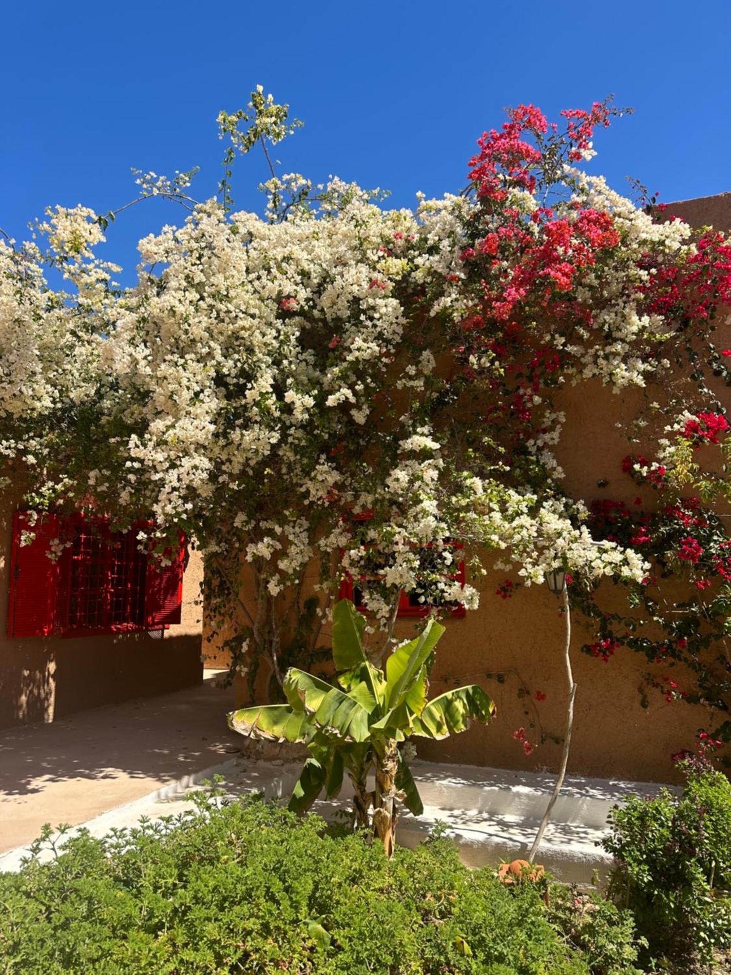 Dar Tawarta Guest House Dakhla Kültér fotó
