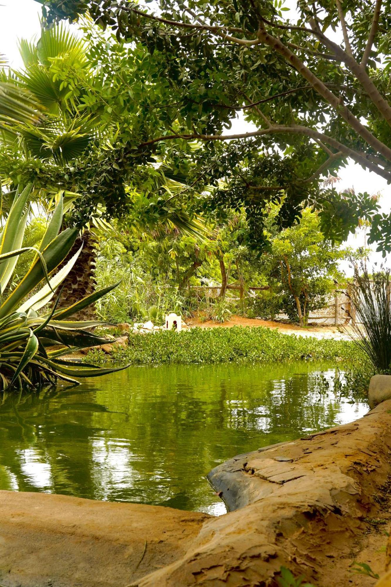 Dar Tawarta Guest House Dakhla Kültér fotó