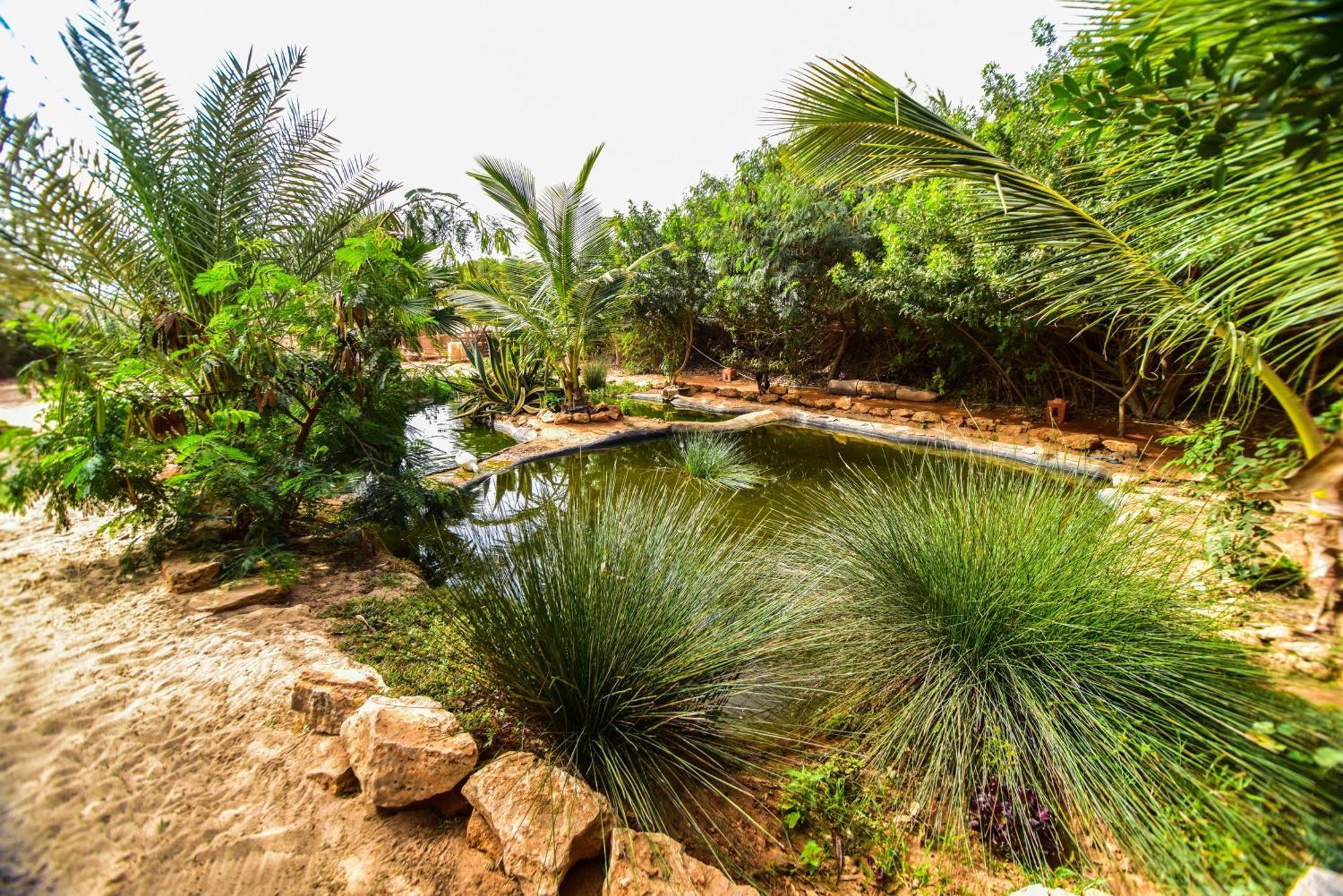Dar Tawarta Guest House Dakhla Kültér fotó